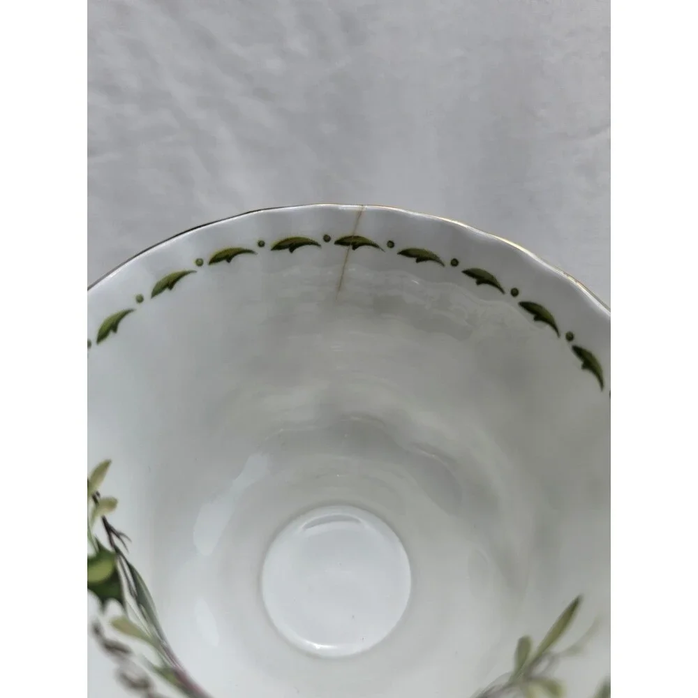Royal Albert Flower of the Month December Christmas Rose Bone China Cup Only